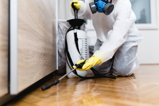 Pest Control for Restaurants in East Peoria, IL