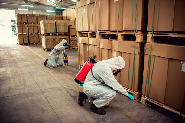 Best Wasp Removal Services  in East Peoria, IL