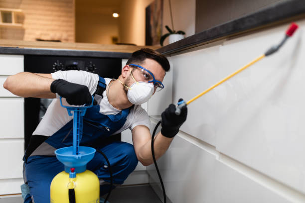 Best Termite Control Services  in East Peoria, IL