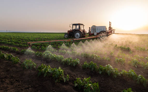 Reliable East Peoria, IL Pest Control Solutions