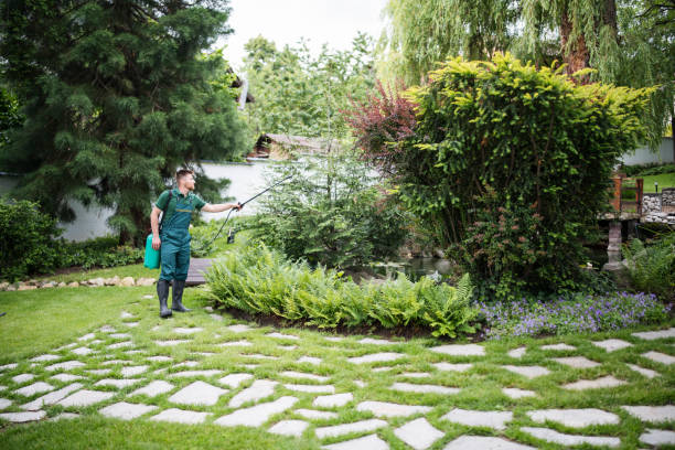 Pest Control Cost in East Peoria, IL