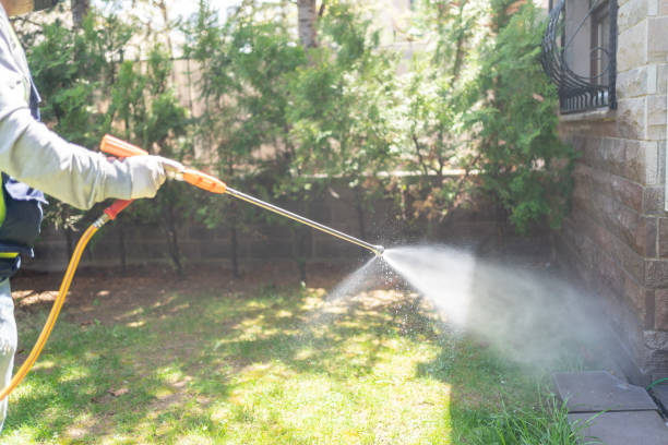 Best Affordable Pest Control Services  in East Peoria, IL
