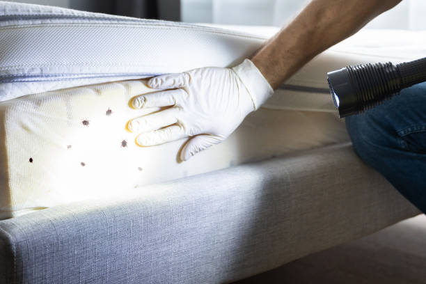 Best Mosquito Control Services  in East Peoria, IL