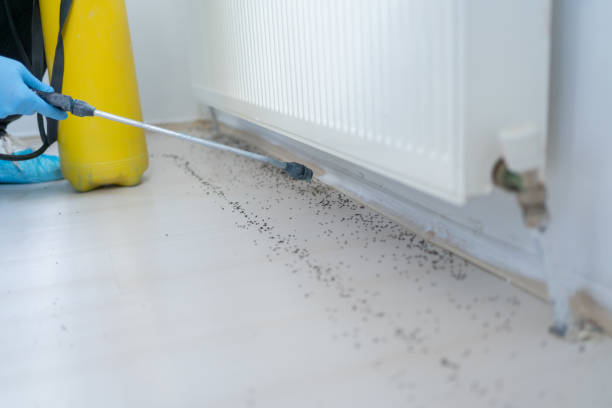 Best Exterminator Services  in East Peoria, IL