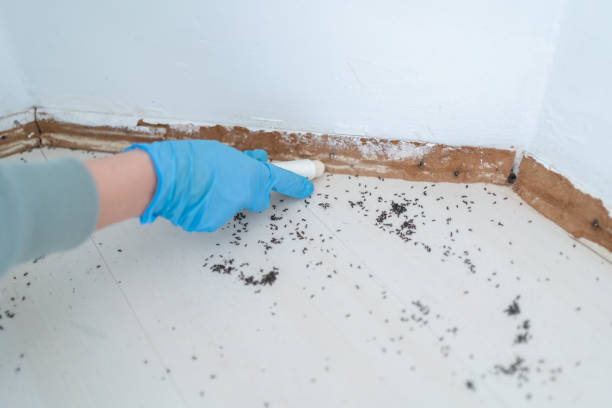 Best Pest Control for Restaurants  in East Peoria, IL
