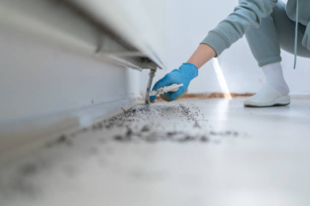 Best Pest Control for Homes  in East Peoria, IL