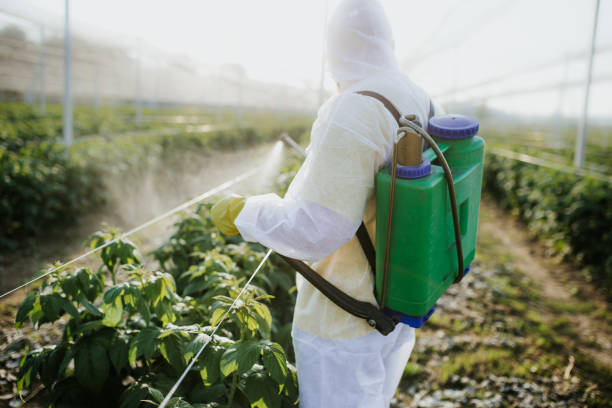 Best Pest Control Cost  in East Peoria, IL